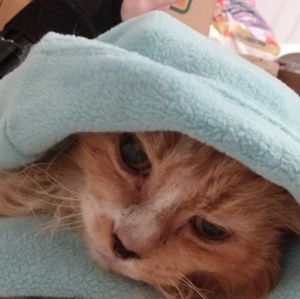 Meet your Posher, Melinda